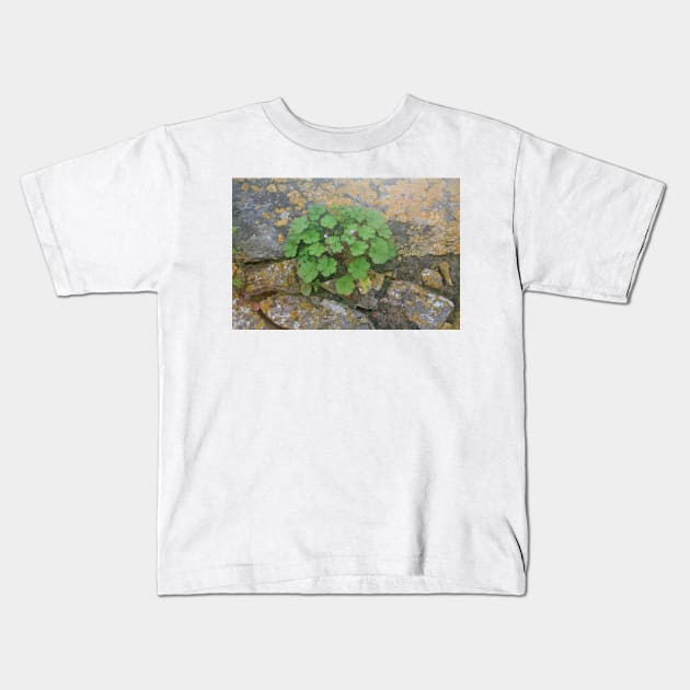 Life on an old stone wall Kids T-Shirt by oknoki